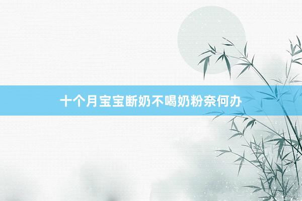 十个月宝宝断奶不喝奶粉奈何办